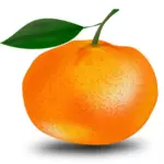 नारंगी और पत्ती