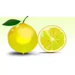 Imagem vetorial de limão