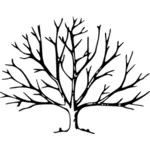 Tree with roots vector graphics