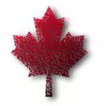 Kanadský javorový list vektorové kreslení