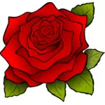 Grafiken der blühende Rose mit schwarzer Umrandung
