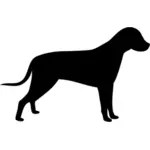 בתמונה וקטורית צללית של הכלב בעמידה