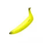 Vector clip art of straight shaped banana