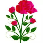 Vektorgrafikk av fire roser på en stam