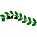 Olive branch obrazu