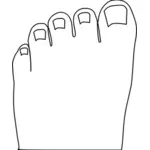 Toes Outline