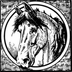 Cornice grafica vettoriale cavallo
