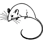 Vektorové grafiky myš s dlouhým ocasem