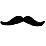 Vector drawing of thin male mustache