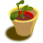 Vector afbeelding van plant in twee potten