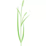 Vektori clipart yksinkertainen riisi kasvi