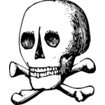 Immagine dello scheletro