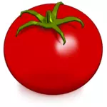 Glossy tomat gambar