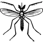 Desenho de vetor mosquito