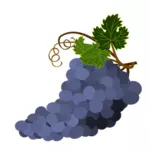 Фиолетовый виноград векторное изображение