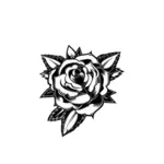 Schwarz / weiß erblühte rose