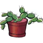 Afbeelding van de cactus