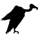 Vulture silhouette vector image