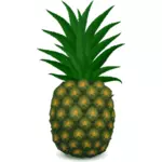 Image vectorielle vert ananas