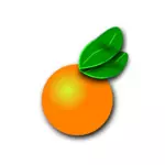 Oranžové Citrus