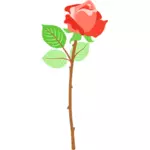 Červená růže s trny