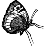 Butterfly in profiel pose