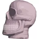 Crâne effrayant dans un flou