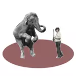 Bir Fil ile Sirk Gösterisi