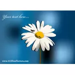 Flower On Blue Background