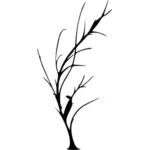 Désert arbre silhouette vecteur image