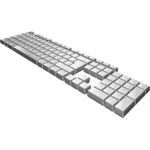 Blank gray keyboard vector image