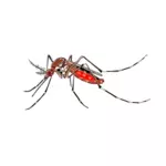 Mosquito obrázek