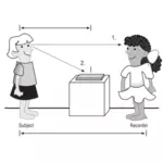 Barna rotasjon eksperiment vector illustrasjon