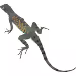 Illustration of colorful lizard