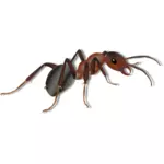 Dibujo de hormiga