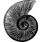 蜗牛的轮廓图像