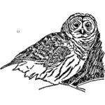Owl sketch afbeelding