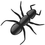 一只蚂蚁的矢量图像
