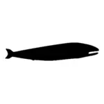 Whale silhouette