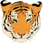 Clipart vectorial de cabeza de tigre joven