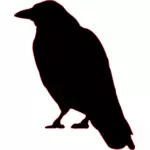 Image de la silhouette d'un corbeau