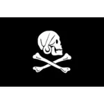 Pirate flag bones and skull vector image