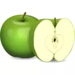 वेक्टर छवि सेब और सेब के आधे में कटौती