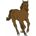 Vector image of young horse running