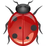 Glossy ladybug