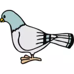 Un pigeon