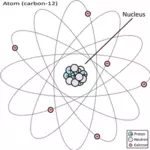 Karbon 12 atom diyagramı vektör görüntü