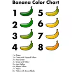Banán barevný graf grafika