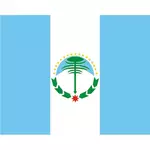 Neuquenin maakunnan lippu