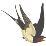 Barn swallow z czerwoną głową wektorowych ilustracji